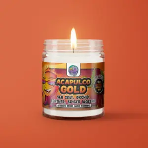 MODEST CO ODOR KILLING CANDLES